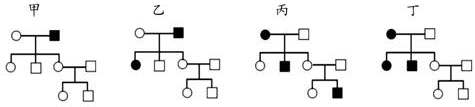 德优题库