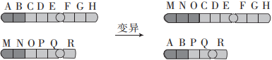 德优题库