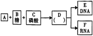 德优题库