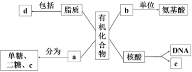 德优题库