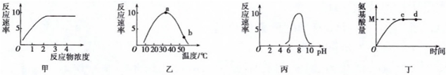 德优题库