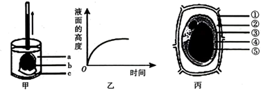 德优题库