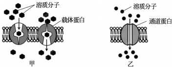 德优题库