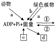 德优题库