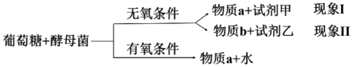 德优题库