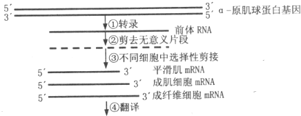德优题库
