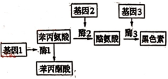 德优题库