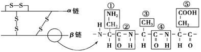 德优题库