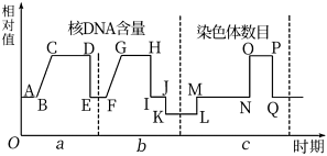 德优题库