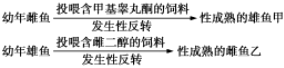 德优题库