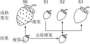 德优题库