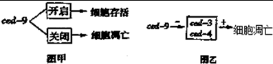 德优题库