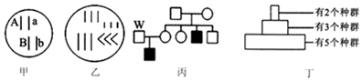 德优题库
