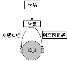 德优题库