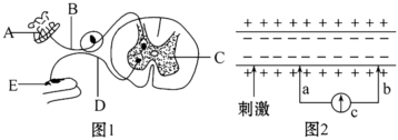 德优题库