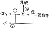 德优题库