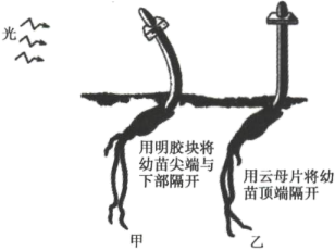 德优题库