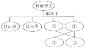 德优题库