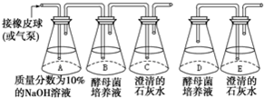 德优题库
