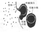 德优题库