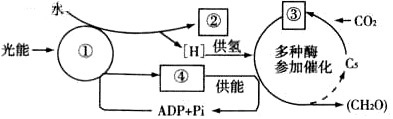 德优题库