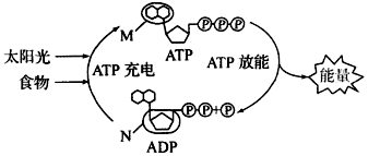 德优题库