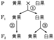 德优题库