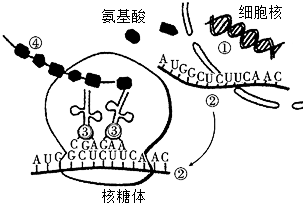 德优题库