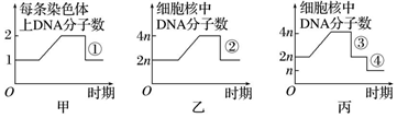 德优题库