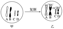 德优题库