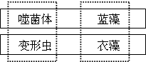 德优题库