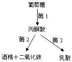 德优题库
