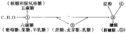 德优题库