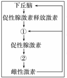 德优题库