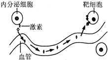 德优题库