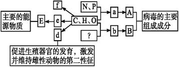 德优题库