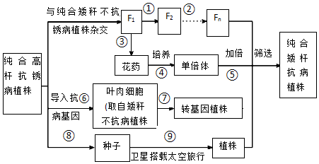 德优题库