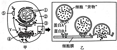 德优题库