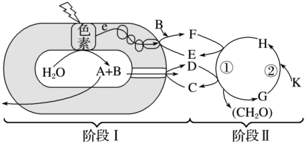 德优题库