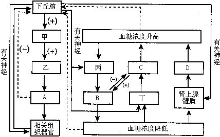 德优题库