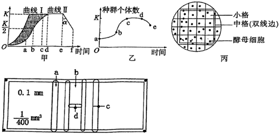 德优题库