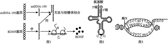 德优题库