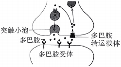 德优题库