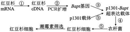 德优题库