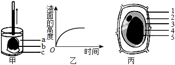 德优题库