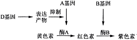 德优题库