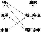 德优题库
