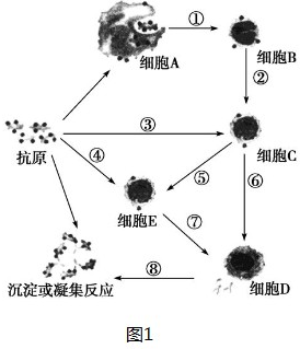 德优题库