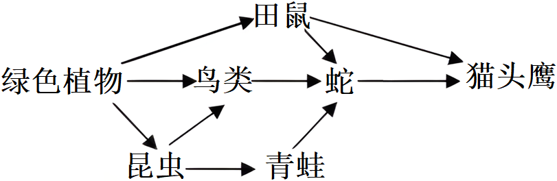 德优题库