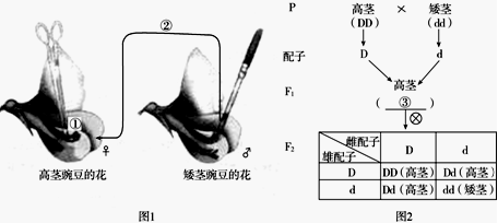 德优题库